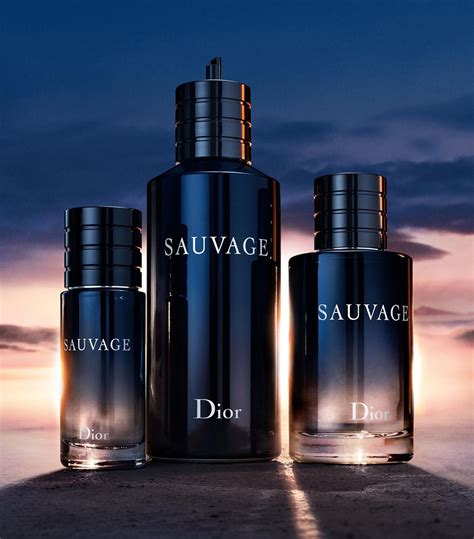 sauvage parfum dior 200ml|sauvage dior perfume price.